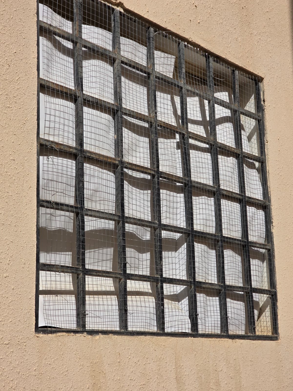 شركة مكافحة الحمام الرياض