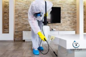 شركة مكافحة حشرات بالرياض