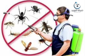 شركة مكافحة حشرات بالرياض