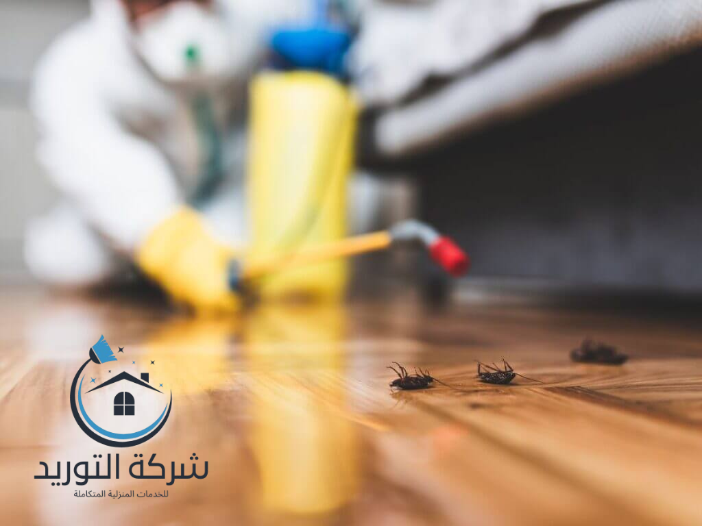 شركة مبيد حشرات بالرياض