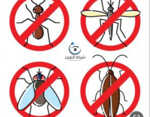 شركة مكافحة الحشرات بالرياض
