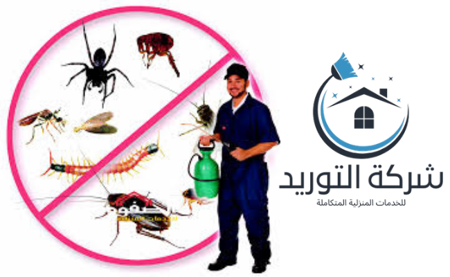 شركة القضاء على الحشرات بالرياض