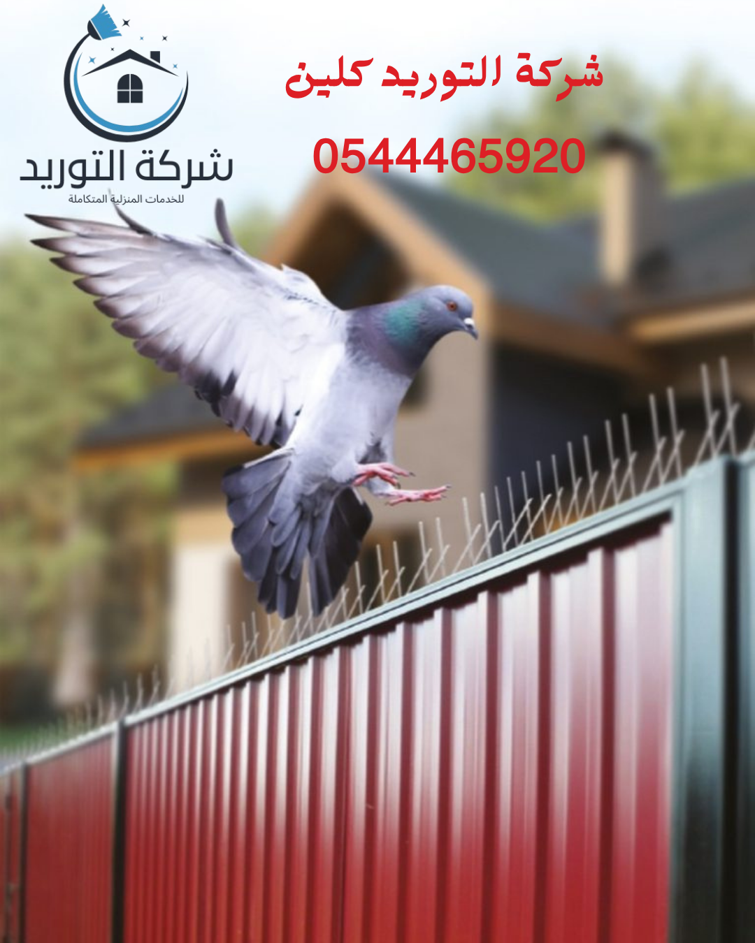 افضل طريقة لطرد الحمام من الشبابيك0544465920