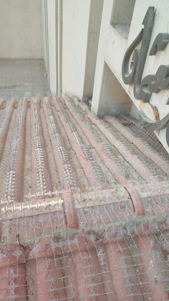 شركة تركيب اشواك الحمام بالرياض